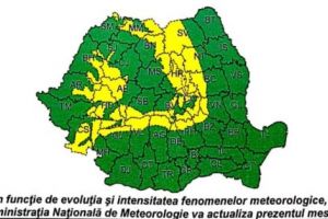 COD GALBEN ÎN ARGEŞ