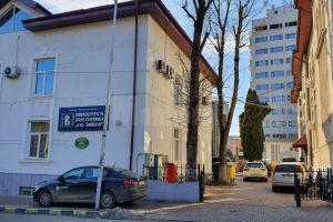 Tablouri scoase la vânzare în scop caritabil, pentru o elevă în vârstă de 14 ani, vineri, ...