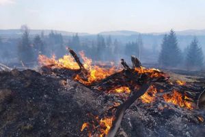 12 intervenţii gestionate de pompierii harghiteni, în ultimele 24 de ore