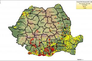 Actualizarea situatiei privind evolutia Pestei Porcine Africane. Cate focare se afla in judetul Constanta 