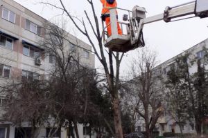In urma solicitarilor constantenilor: Continua toaletarea copacilor, in mai multe zone din oras