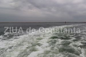 A fost solicitat acord de mediu:  Conducta de transport titei, deviata de OMV Petrom SA - zona de productie X - Petromar