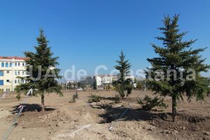 Unda verde de la Primaria Constanta pentru Ovidius Park! Iata planurile de amenajare