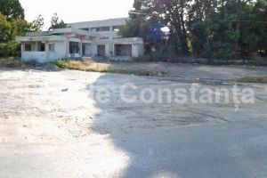 Administrator unic nou la firma constanteana Energia SA. Despre cine este vorba