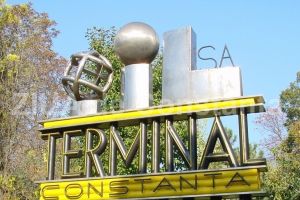 Decizii ale Guvernului Orban care vizeaza societatile Nuclearelectrica si Oil Terminal