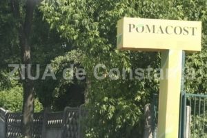 Fosta Pomacost, actuala Garden Shop Services, versus Primaria Constanta. O noua infatisare la Tribunal