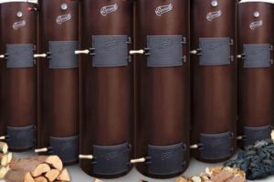 Lemnul – combustibil de bază pentru încălzire şi în 2020