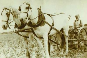 „Au dosit utilaj agricol”