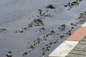 Mai multe scări de bloc din zona centrală a municipiului Botoşani, fără apă la robinete