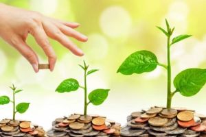 Reforma în educaţie: Care sunt cele patru etape pentru schimbarea profesiei didactice până în 2030, propuse de OECD