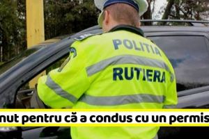 NEAMȚ: Reţinut pentru că a condus cu un permis fals