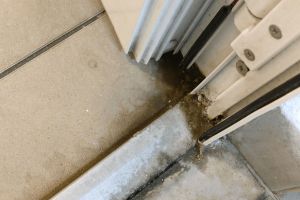 Orădenii se plâng că Bazinul Olimpic e murdar şi în stare de degradare (FOTO)