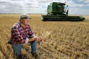 Agricultura din Dâmboviţa este dată peste cap de capriciile vremii