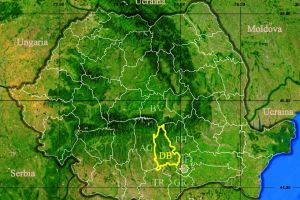 În 2019, 1330 de străini au locuit în Dâmboviţa. 259 au venit la muncă în judeţul nostru