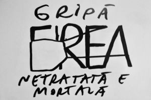 FOTO – Un celebru artist din Sibiu o ironizează pe Gabriela Firea