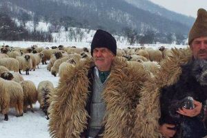 Ministrul Agriculturii vine la Sibiu – Se întâlneşte cu ciobanii din Mărginime