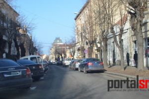 Atenţie, cad copaci! Acţiune de doborâre a arborilor pe o stradă din municipiul Satu Mare