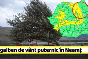 METEO: Cod galben de vânt puternic în zona de munte a judeţului Neamţ