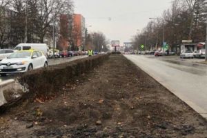 SCHIMBARE DE PEISAJ PE CALEA CRAIOVEI