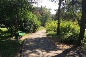 Se face lumină în Parcul Botanic, iar Școala din Soarelui se extinde. Încă 30 mil. euro de la UE pentru Timişoara