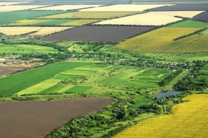 Calendar estimativ lansări sesiuni de depunere proiecte în anul 2020 în cadrul PNDR 2014-2020