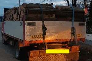 Maramureşean sancţionat de poliţiştii sătmăreni pentru transport ilegal de lemn