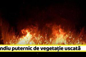 NEAMȚ: Incendiu puternic de vegetaţie uscată în această seară