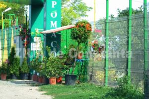 Si cu bani putini, si pusi la plata:  Afaceristii de la Pomacost, actuala Garden Shop Services, obligati sa plateasca avocatii Primariei Constanta  
