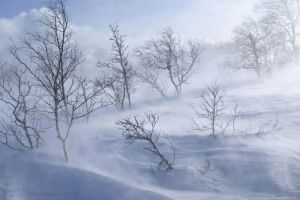 ANM: COD GALBEN de viscol în judeţul Alba şi mai multe judeţe din ţară. Atenţionarea este valabilă până mâine dimineaţă