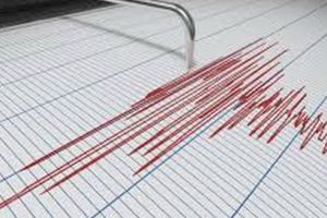 Cutremur de 5,2 grade pe Scara Richter!