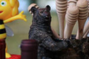 Apicultorii din Banat îşi dau întâlnire în februarie, la Dumbrăviţa!