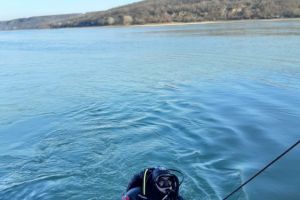 Garda de interventie Borcea s-a alaturat operatiunilor de cautare a marinarului cazut in Dunare 