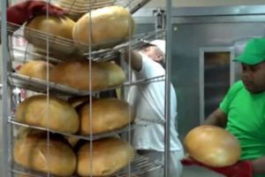 Prezenţa imigranţilor reprezintă o alternativă la lipsa forţei de muncă în România. Să ne aşteptăm la tot mai mulţi