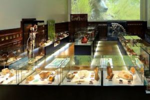 Muzeul Judeţean de Ştiinţele Naturii Prahova vă invită la festivitatea de inaugurare a Centrului de Ecologie şi Antropologie