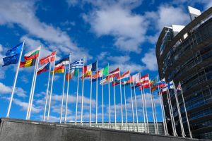 Un PROIECT propus de parlamentari ARĂDENI va fi REGLEMENTAT în Parlamentul European