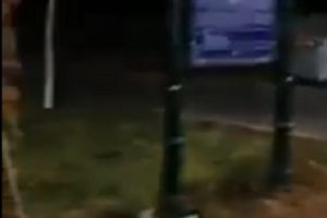 VIDEO: Halucinant! / Ce au ajuns brailenii sa faca de frica cutremurului