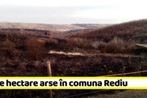 NEAMȚ: 70 de hectare arse în comuna Rediu (FOTO-VIDEO)