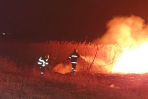 VLĂDENI: Incendiu de vegetaţie pe o suprafaţă de 5000 mp