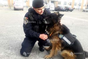 FOTO – Un câine din Sibiu, vedetă în Jandarmeria Română