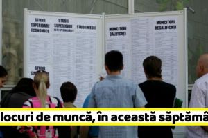 NEAMȚ: 67 NOI locuri de muncă, comunicate în această săptămână