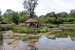APM Timiş - cu elevi la Muzeul Satului, pentru a vedea „balta”, de Ziua Zonelor Umede