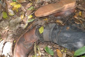 ACCIDENT GRAV ÎN PĂDURE!