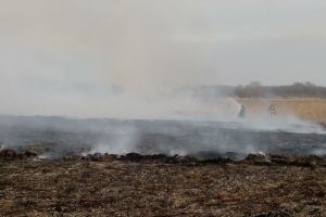 Judetul Tulcea. Interventie a pompierilor pentru stingerea unui incendiu in Nufaru (galerie foto) 