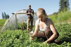 Instalarea tinerilor fermieri 2020: De când începe depunerea proiectelor şi care este sprijinul maxim