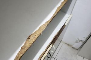 VIDEO – FOTO Condiţii inumane într-un cămin de bătrâni din judeţul Braşov