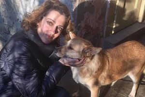 FOTOGALERIE. Căţeluşa desfigurată de petardă a ajuns în noua ei casă!