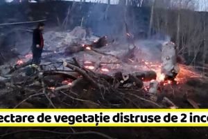 NEAMȚ: 13 hectare de vegetaţie distruse de 2 incendii (FOTO)