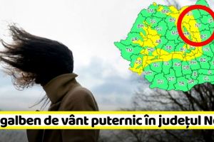 METEO: Cod galben de vânt puternic în judeţul Neamţ