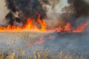 Judetul Tulcea: Un incendiu de vegetatie a ras 25 de hectare. Pompierii avertizeaza cetatenii! (galerie foto)