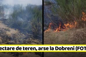 NEAMȚ: 10 hectare de teren, arse la Dobreni (FOTO)